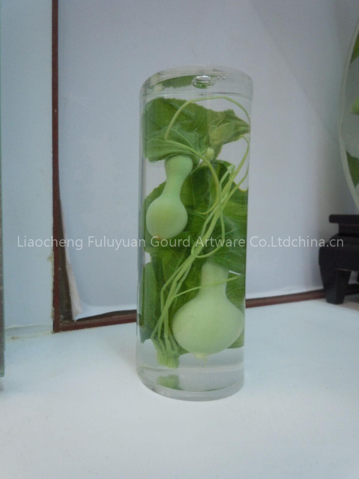 fresh gourds crystal craft