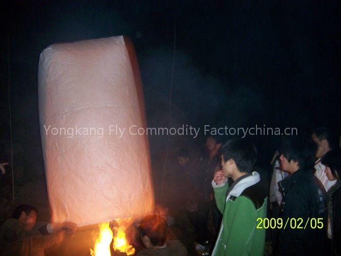 Chinese Lantern