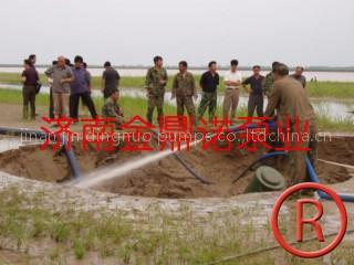 Vertical sand Pump