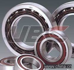 UBC Cylindrical Roller Bearings series