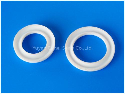 PTFE rotary seal