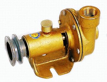 Ship Water Pump