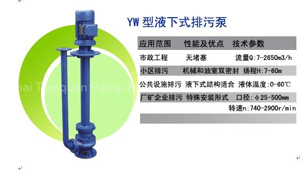submersible sewage pump