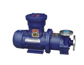 Magnetic pump