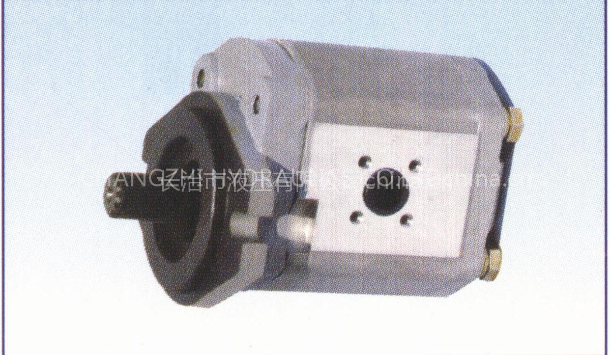 CBJ40-F32L-S1K Gear Pump