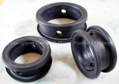 Butterfly valve's seat rings - 01