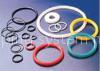 Oil Seal