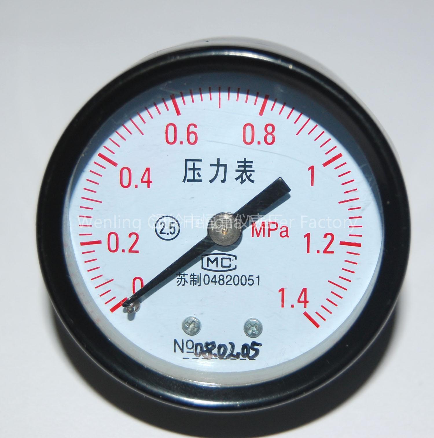 Y60 Pressure Gauge