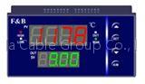 XML5000 Series Compensational Flow Rate Integrating Control Meter