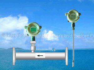 Gas mass flow meters