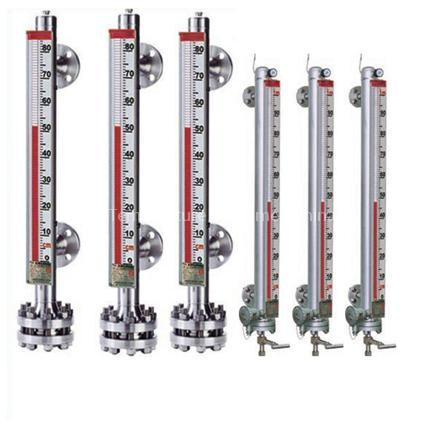 Magnetic Level Gauge