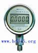 Digital Precision Pressure Gauge