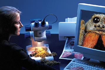 Germany Zeiss Microscope