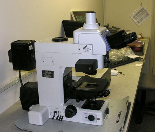 United Kingdom Nikon Eclipse Series Microscope With Extras