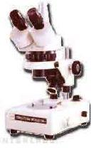 Morocco Microscope
