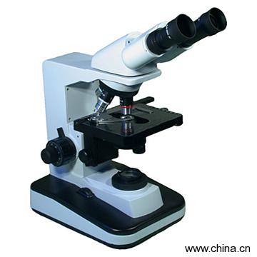 Microscope
