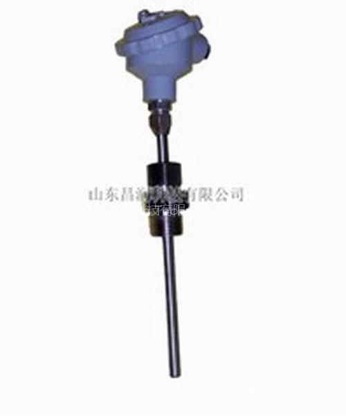 Double Platinum Resistance Temperature Sensor