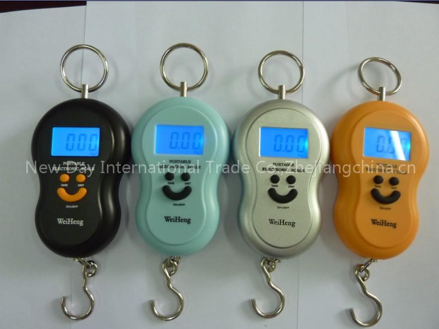 Hanging Scale