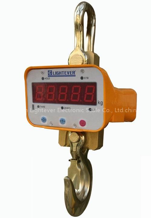 Crane Scale
