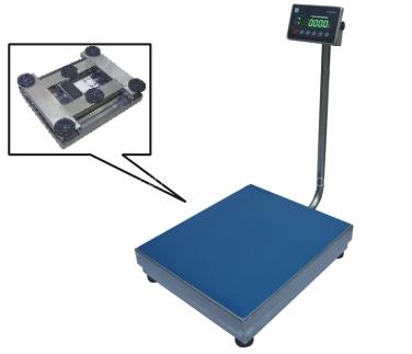 Stainless Steel Scales SSU-TCS-600
