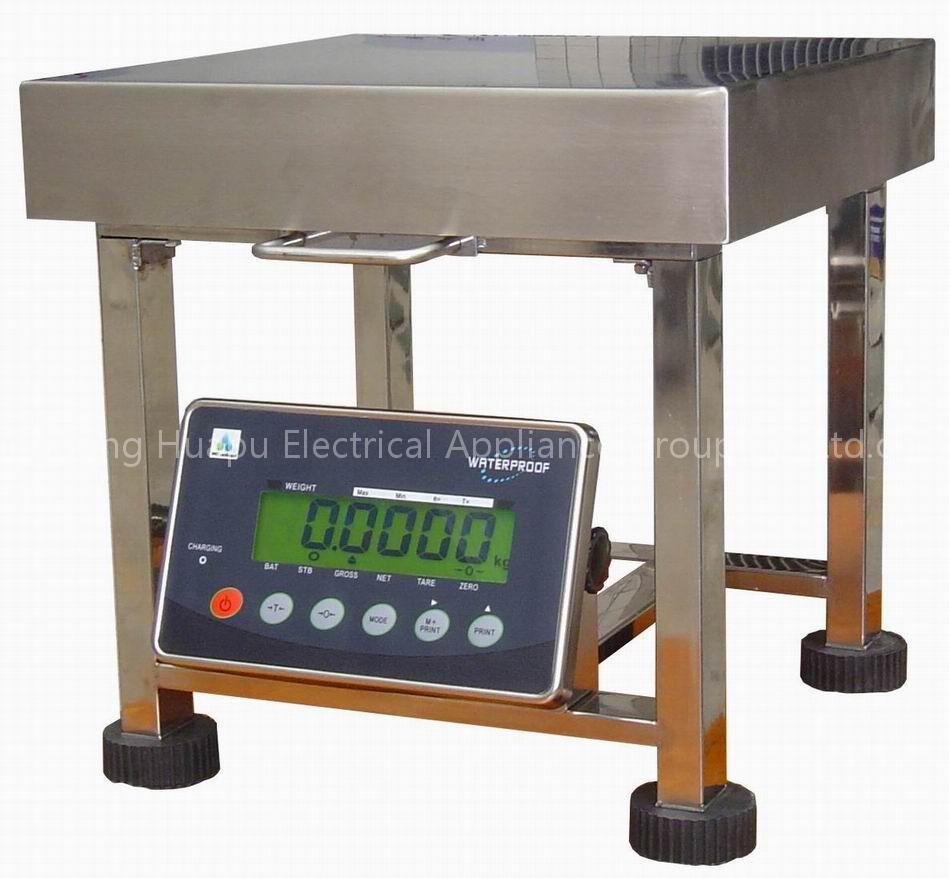 Stainless Steel High Loaded Scale