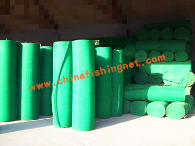 8ft safety net