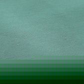 Microfiber Moss Peach Skin Fabric