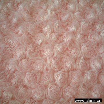 Velvet (Curly Poodle)