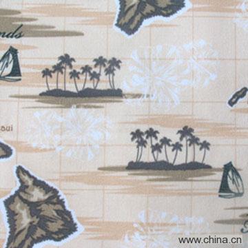 Printed Oxford Fabric