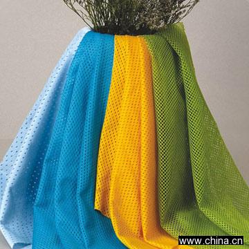 DTY Mesh Fabric