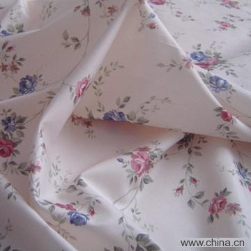 Silk Printed Fabric