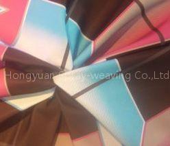 100% 245T nylon taffeta
