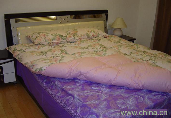 Down Quilt