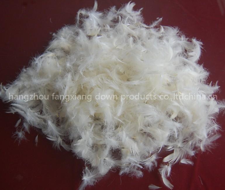 DUCK FEATHER