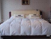 Down Quilt