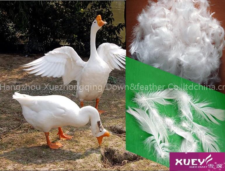 90%white goose down