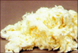 TANBOOCEL bamboo fiber