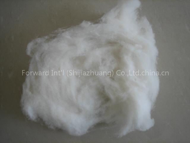 wool fiber