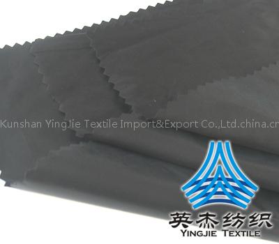 30D*30D Fulldull Nylon taffeta Mirror cire