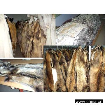 Fur Raw Material