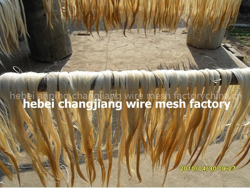 bleached white bristle