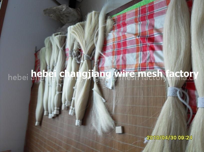 horse tail hair