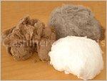 cashmere raw material