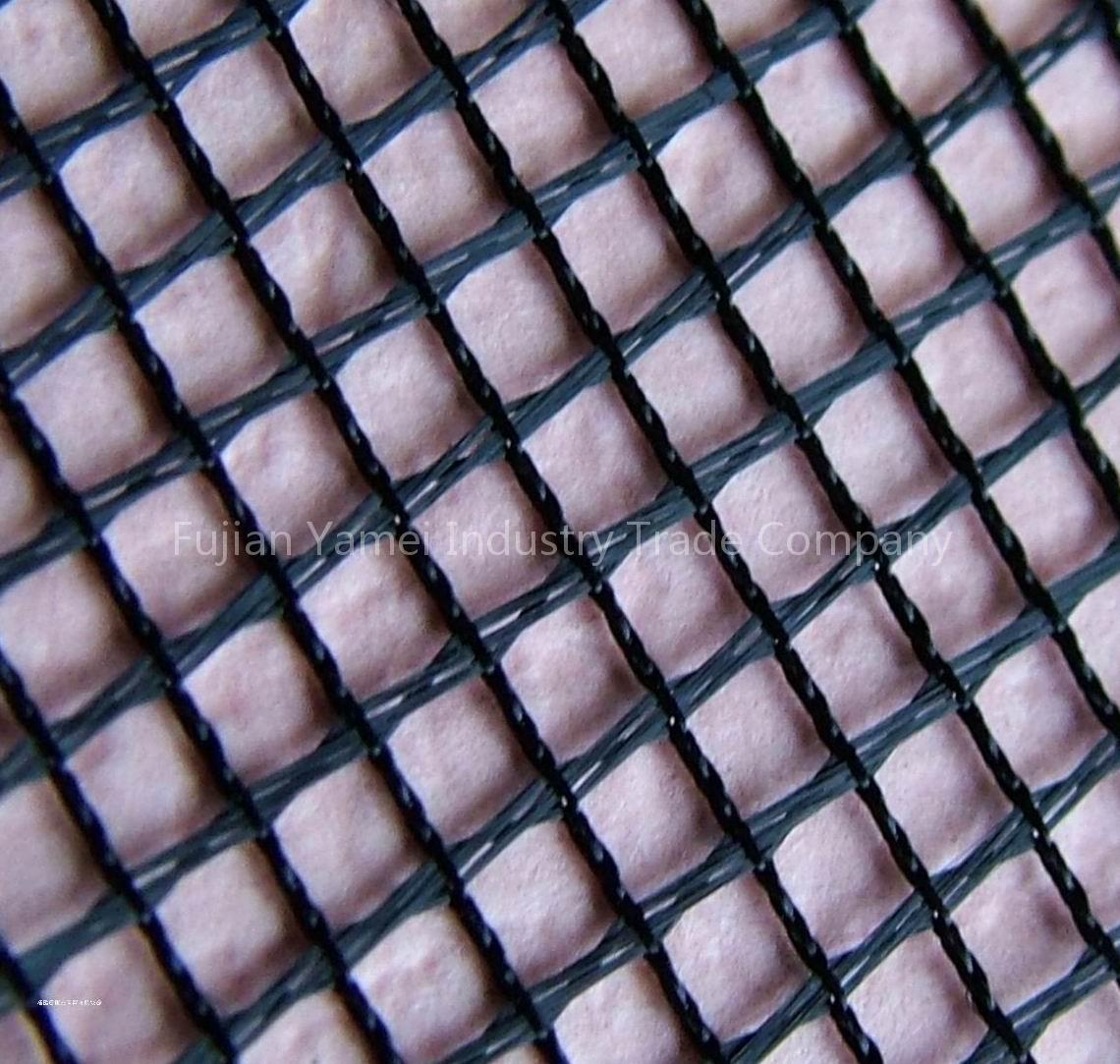 window screen