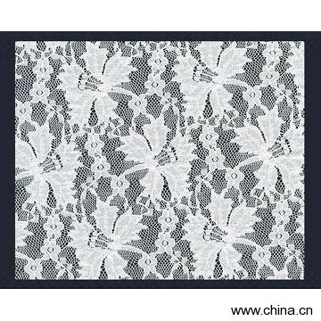 Rigid Lace / Allover Fabric