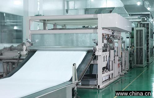 Non-Woven Fabric