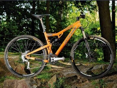 Intense Cycles Spider 29er