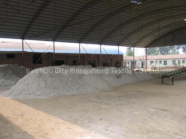 Seed Cotton