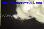 export wool waste,carpet grade raw wool