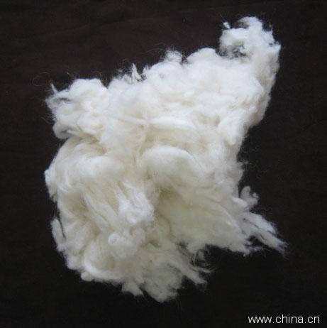 export wool waste,carpet grade raw wool,scoured wool waste,greasy wool waste